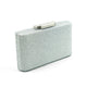 Alexa Crystal Clutch (Silver)